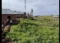 नाइजीरिया में फिर ईसाइयों की हत्या की गई