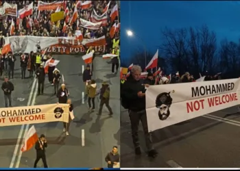Poland Anti islam protest