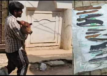 prayagraj Cow Slaughter