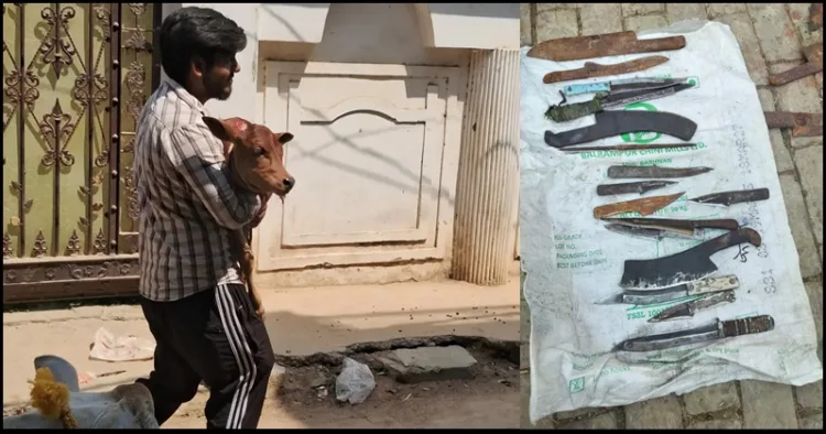 prayagraj Cow Slaughter
