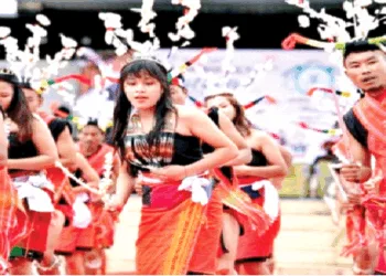 शिरोई लिली उत्सव की एक झलक