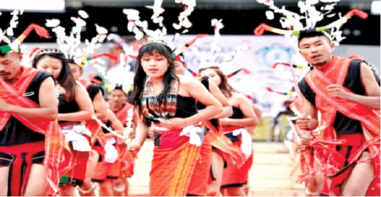 शिरोई लिली उत्सव की एक झलक