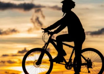 World Bicycle Day