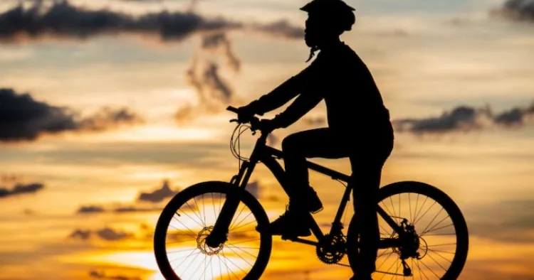 World Bicycle Day