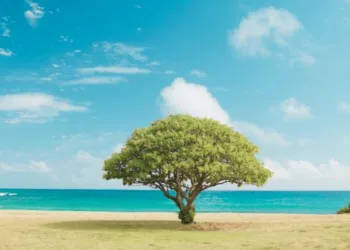 World Environment Day
