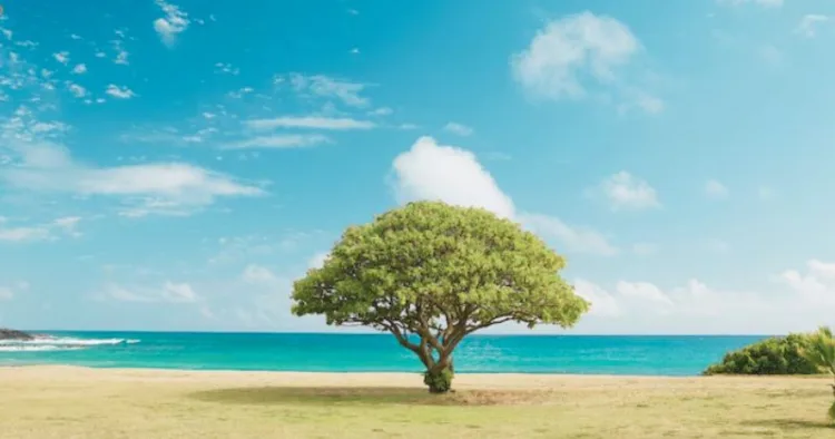 World Environment Day