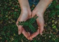 World Environment Day