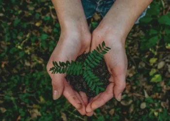 World Environment Day