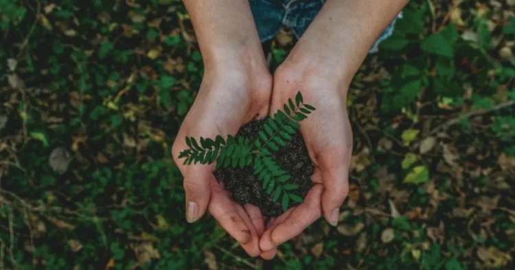 World Environment Day