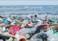 World Ocean Day Plastic waste
