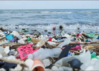 World Ocean Day Plastic waste