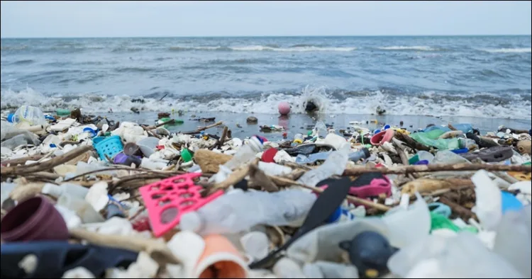 World Ocean Day Plastic waste
