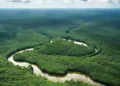 World Rainforest Day-2025