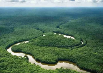 World Rainforest Day-2025