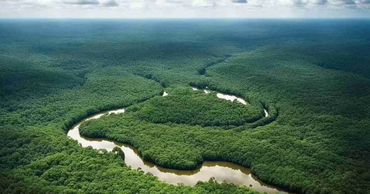 World Rainforest Day-2025
