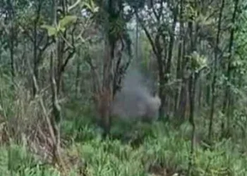प्रतीकात्मक चित्र