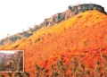 पन्हाला दुर्ग