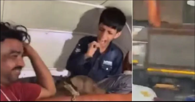 Mumbai Pitbul attack