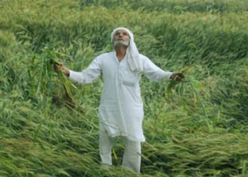 PM Fasal Bima Yojana