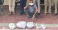 राष्ट्रीय पक्षी मोर का शिकार करने पर खुर्शीद को गिरफ्तार किया गया।