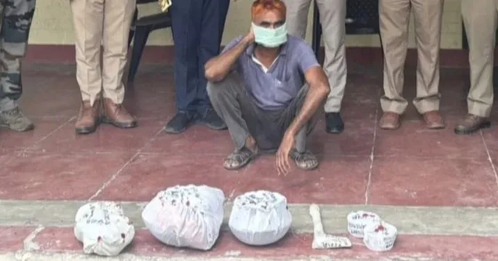 राष्ट्रीय पक्षी मोर का शिकार करने पर खुर्शीद को गिरफ्तार किया गया।