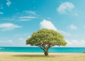 World Nature Day