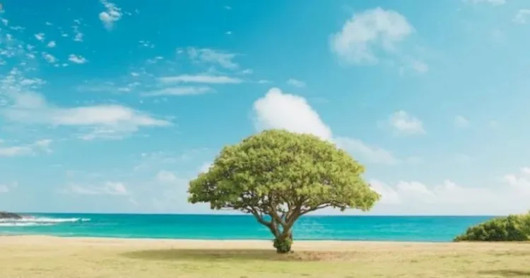 World Nature Day