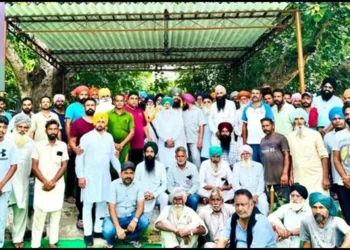 18 yrs old died in punjab Due to chitta overdose