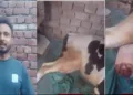 Cow leg cut off by a bomb shell during operation Sindoor