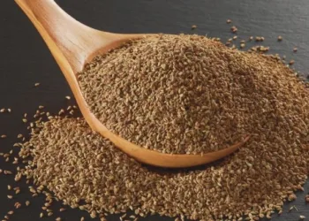 ajwain benefits