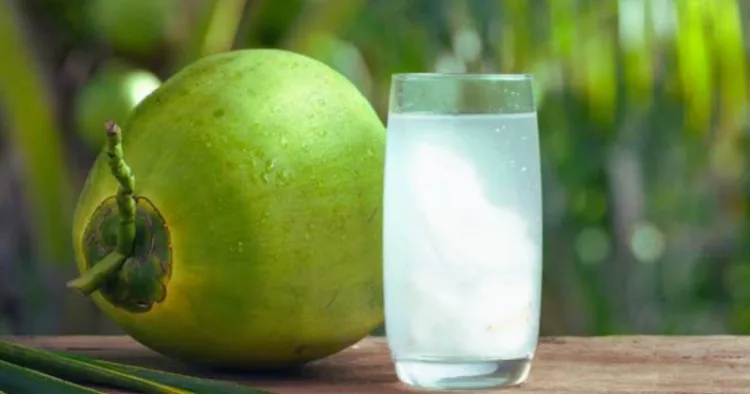 Coconut Water Benefits
