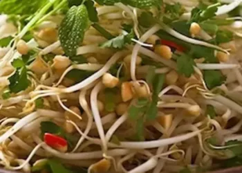 sprouts benefits