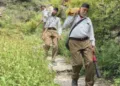 सेवा कार्य