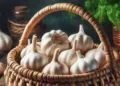 Garlic Benefits