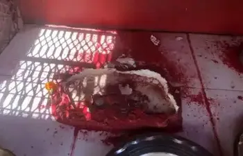 70 साल पुरानी हनुमान जी की प्रतिमा एक ही रात में गायब कर दी गई, जबकि वह फर्श के साथ अच्छे से सीमेंट से जमी हुई थी