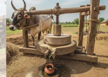 प्रतीकात्मक तस्वीर