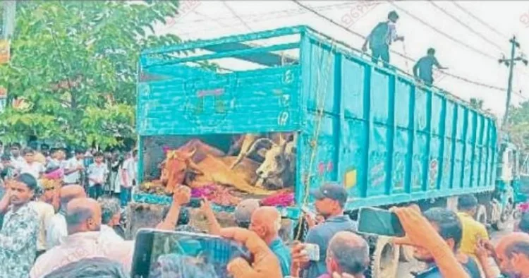 ओडिशा में गौ तस्करी