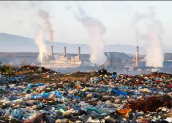 Plastic Waste Global crisis