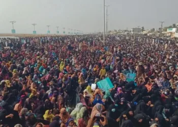प्रतीकात्मक तस्वीर