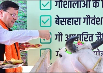 CM Dhami ordered to take action against Cow slaughter