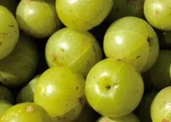 Amla Benefits