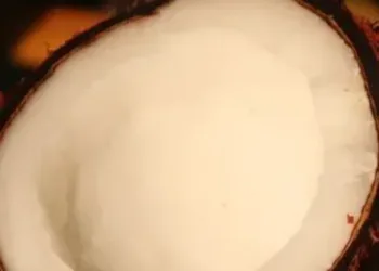 coconut benefits