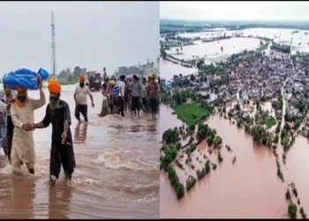 Punjab Flood-2025