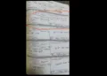 air india cockroach flight logbook