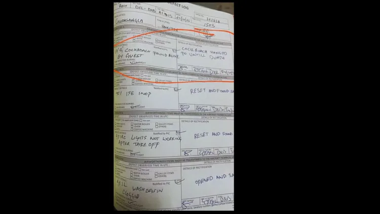 air india cockroach flight logbook