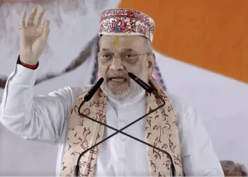 अमित शाह, केंद्रीय गृह मंत्री