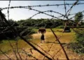 Border Illegal Immigrant