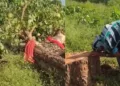 Chhattisgarh viral video