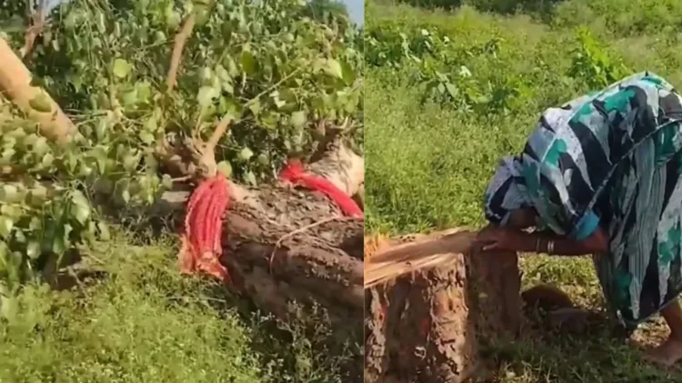 Chhattisgarh viral video