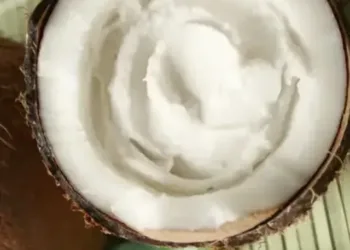 coconut milk benefits